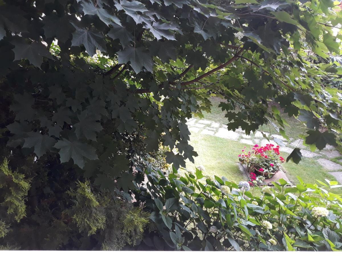 보르고 산 달마쪼 Il Melograno B&B 외부 사진